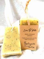 Sav'o'pin - exfoliant - 20g