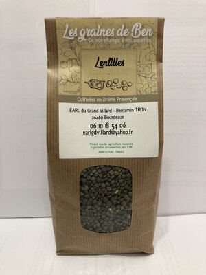 Lentille verte
