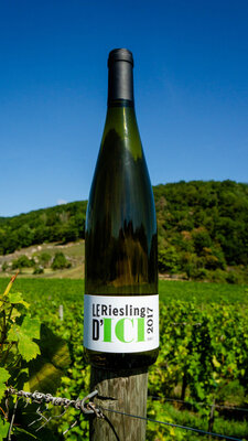 Le riesling d'ici