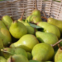 Chutney de poire au poivre sauvage de madagascar