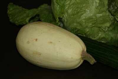 Courge spaghetti