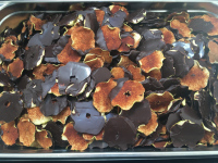 Pommes séchées croquantes au chocolat noir