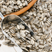 Graines de tournesol pour oiseaux