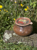 Confit de canard aux lentilles pour 2 personnes