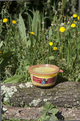 Foie gras entier de canard conserve 100g