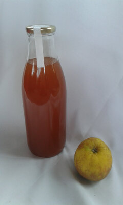 Jus de pomme 'le roux '