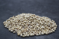 Poivre des oiseaux du penja