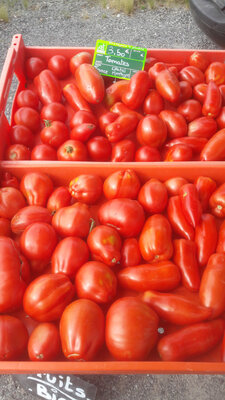 Tomate variété ancienne