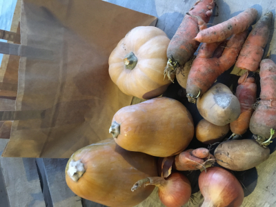 Petit panier bio autour de la courge