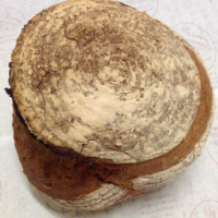 Pain de campagne t80 t110