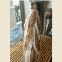 Pain de campagne t80 t110 bio