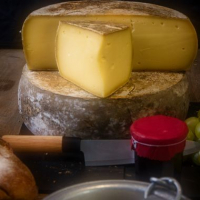 Tomme de montagne