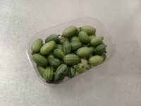 Mini concombre