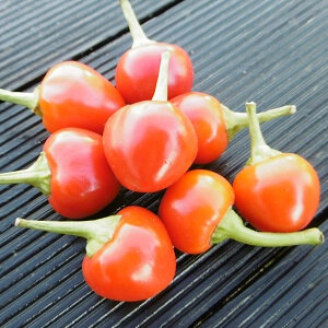 Piment italien