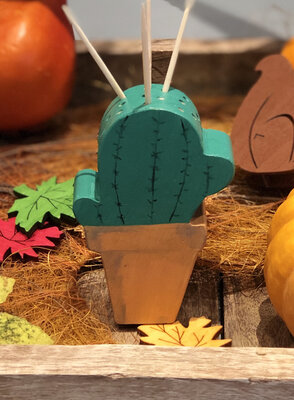 Cactus porte pics