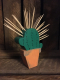 Cactus porte pics - image 3