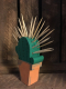 Cactus porte pics - image 4