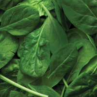 épinards