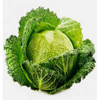 Choux vert
