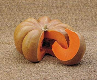 Courge musquée de provence