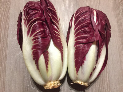 Salade trévise