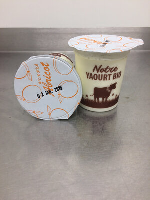 Yaourt aromatisé abricot