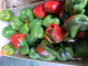Poivrons bio - image 2