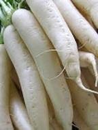 Navet blanc-1 kg