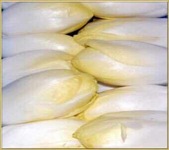 Endive