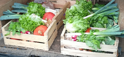 Panier de légumes de saison