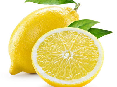 Citron variété primo (agriculture biologique )