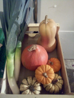 Panier de légumes de saison avec agria