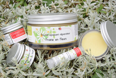 Baume apaisant réparateur 40 g fruits du verger