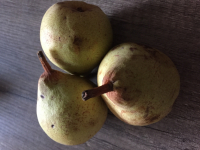 Poires comice petit calibre