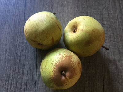 Poires passe-crassane