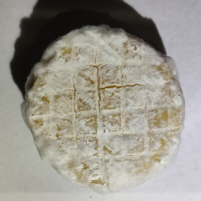 Chèvre nature sec