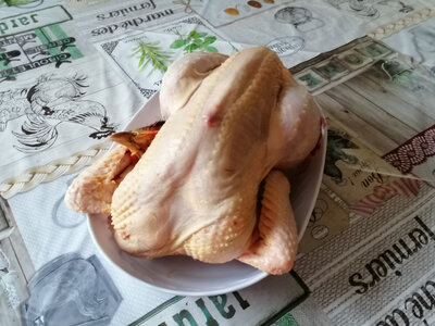 Chapon