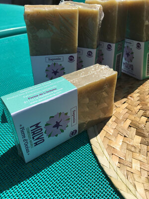 Savon lait de chèvre pierre d'océan