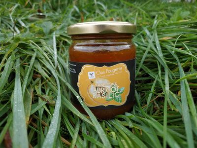Confiture abricot-basilic