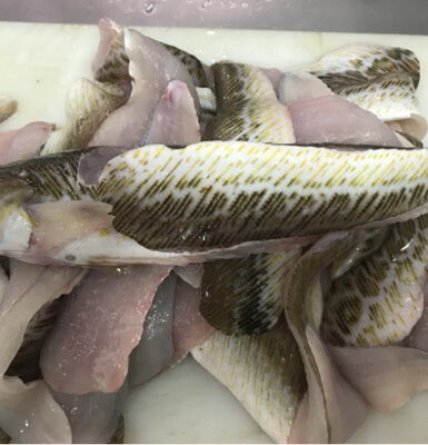 Filets de vives