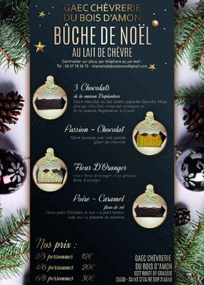 Bûche de noël au lait de chèvre bio glace fleur d'oranger 4 personnes