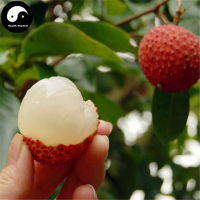 Litchi (france réunion)