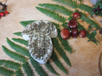 Les champicia aux herbes