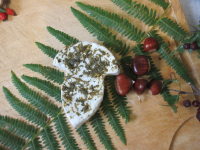 Les champicia à l'ail des ours