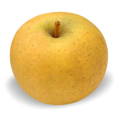 Pomme chanteclerc