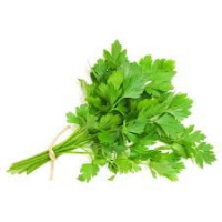 Bouquet de persil frais bio