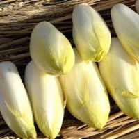 Endives
