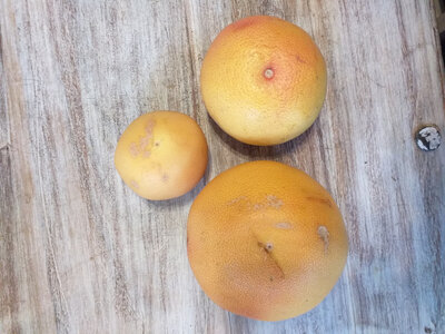 Pomelos