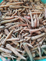 Carottes jaunes 1 kg