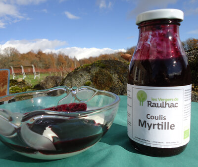 Coulis myrtille -achat solidaire/bio